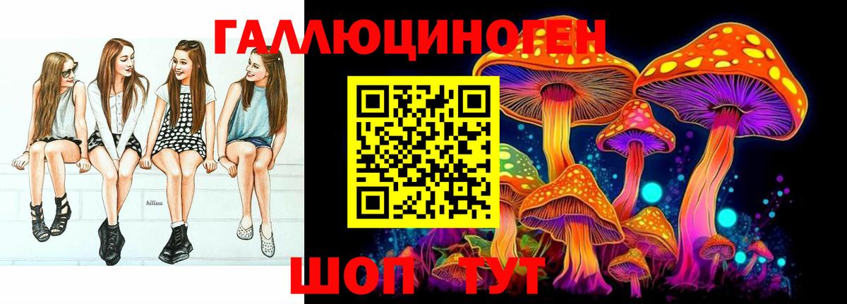 Галлюциногенные грибы Psilocybine cubensis Мытищи